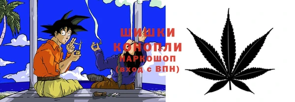 индика Аркадак