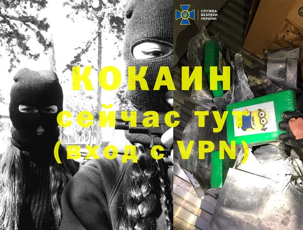 индика Аркадак