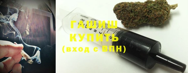 индика Аркадак