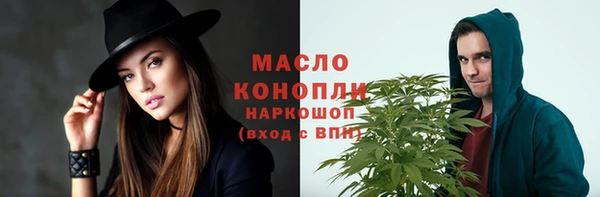 индика Аркадак