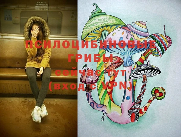 индика Аркадак