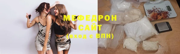 индика Аркадак