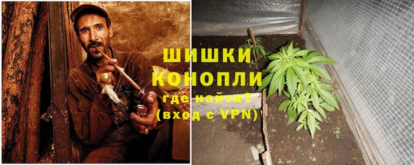 гидра Арсеньев