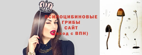 гидра Арсеньев