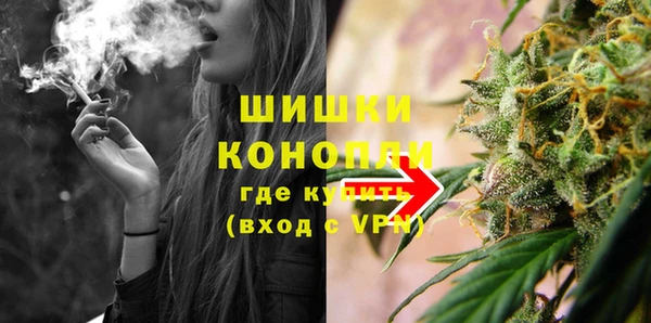 гидра Арсеньев