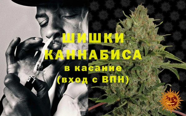 гидра Арсеньев