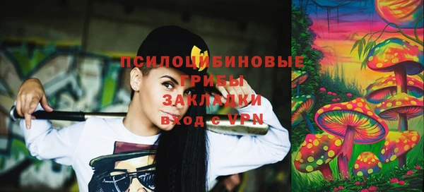 индика Аркадак