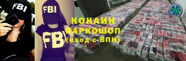 индика Аркадак