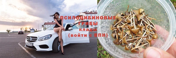 гидра Арсеньев