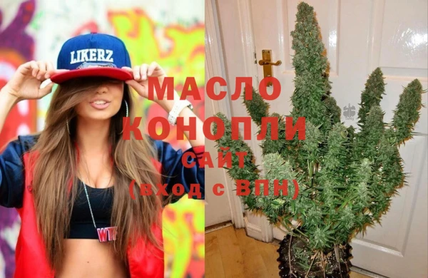 индика Аркадак