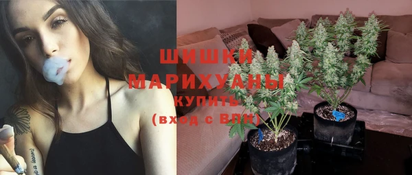 гидра Арсеньев