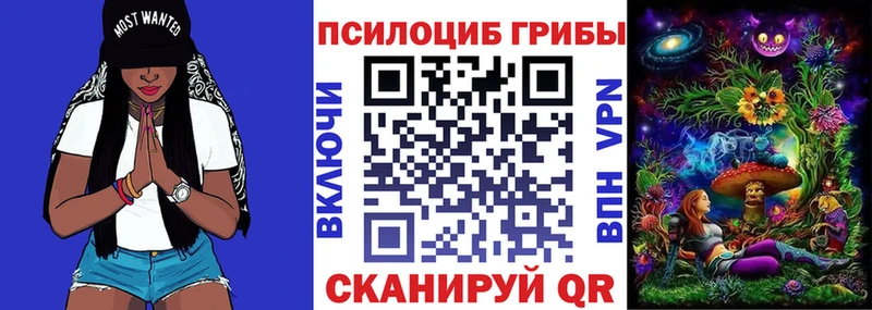 Галлюциногенные грибы GOLDEN TEACHER  наркошоп  Пущино 