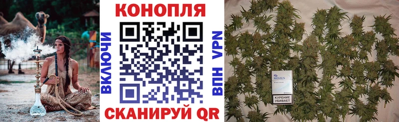 ОМГ ОМГ как зайти  где купить   Пущино  Марихуана тримм 